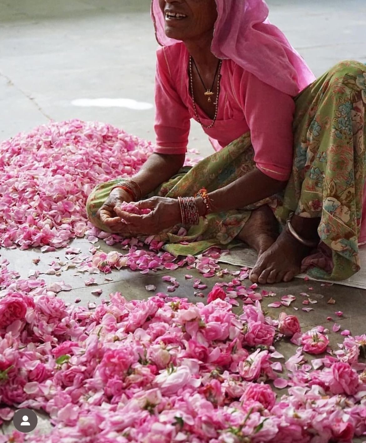 Artisan hand-sorting fresh rose petals for gulkand